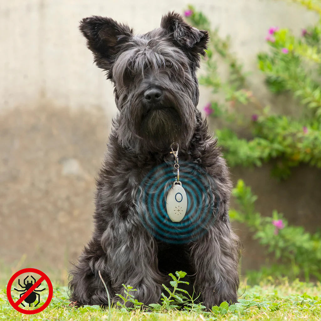 Antiparásitos por sonido recargable para mascotas